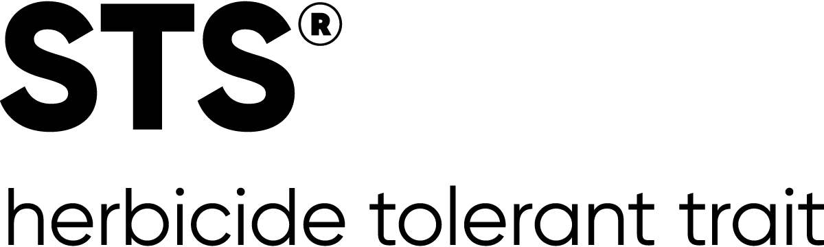 STS logo